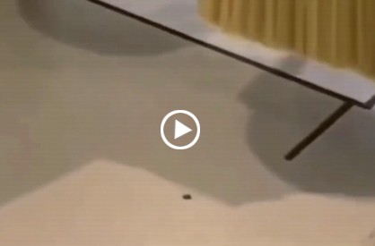 雙軸+鉆包開料加工中心